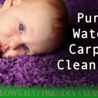 carpet cleaners 358319 Image 3